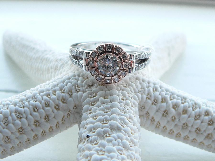 Timeless Elegance, Expertly Crafted